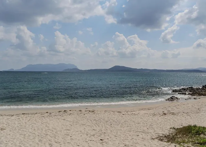 Mirto Pittulongu * Olbia